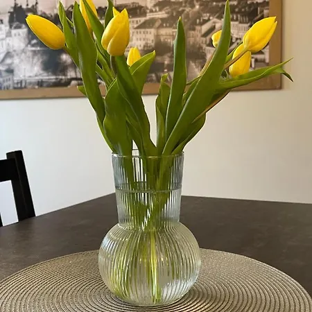 Lubelski Zamkowy Lublin